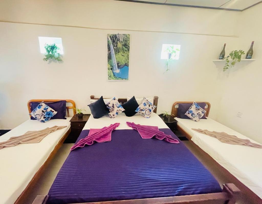 Winston Sea Front Villa ネゴンボ エクステリア 写真